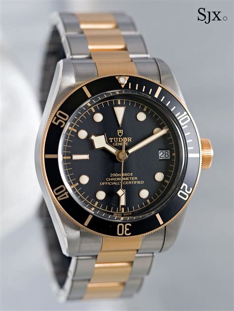 tudor black bay s&g 2022|tudor black bay two tone.